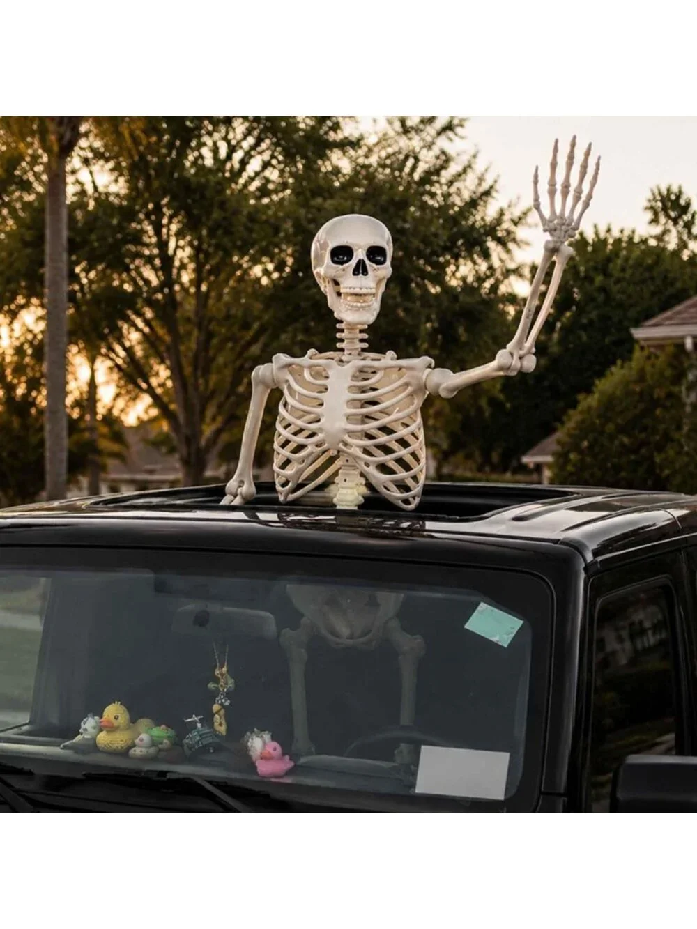 2 Pack 5.4ft Life Size Halloween Skeletons - Realistic Posable Outdoor Decor
